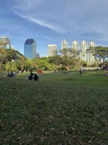 ベンチャキティ公園の芝生エリアと高層ビルの景色（夕方）