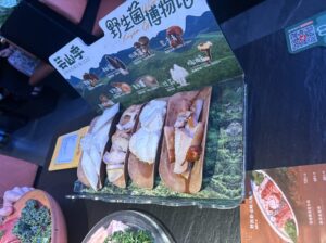 コースに入っていた4種類のキノコ
